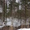 Продажа участка Рахья массив, Рахья снт