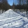 Продажа участка Виллози дер., Виллози деревня