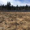 Продажа участка Орлино, Орлино снт