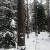 Продажа дома Вырица, Нахимсона ул.