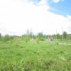 Продажа участка поселок Тайцы, , поселок Тайцы