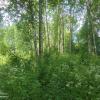 Продажа участка Скреблово пос., Скреблово пос.
