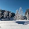 Продажа участка Васильево