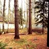 Продажа участка КП Петербургская Рублевка, Пос. Солнечное, ул. 1-я Зеленая, 7А