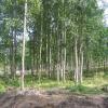 Продажа участка ДНП Солнечный Берег