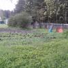 Продажа участка Приморск