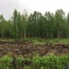 Продажа участка Приладожский