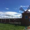 Продажа участка Гостилицы