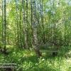 Продажа участка Моторное