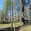 Продажа участка Громово п/ст