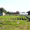 Продажа участка Мины, Петровка ул.