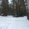 Продажа участка Ильичево пос., Ильичево пос.