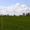 Продажа участка Антелево