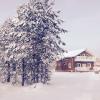 Продажа участка КП Березовка, участок 12