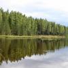 Продажа участка КП Константиновка, 8