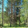 Продажа участка Снегиревка
