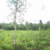 Продажа участка поселок Соловьевка, Соловьевка