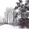 Продажа участка Выборг, Вдохновения ул.