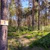 Продажа участка Березовка днп тер., Охтинский прд.