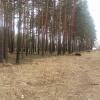 Продажа участка Всеволожск, Некрасова пр.