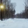 Продажа участка КП Кавголовское озеро.Загородная резиденция, уч.2