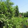 Продажа участка Радофинниково
