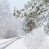 Продажа участка КП Аннинская слобода , уч.34