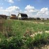 Продажа участка Павловск, Павловское Динамо ш.