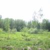 Продажа участка Никольское, Никольское