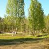 Продажа участка КП Ягодное (Пулэкспресс), участок № 5