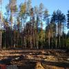 Продажа участка Уткино пос., Уткино пос.