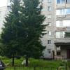 Продажа квартиры Приветнинское, д.9