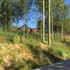 Продажа участка Всеволожск, Бугры массив территория