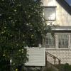 Продажа дома массив Дунай, Красное Знамя-новинка территория СНТ