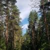 Продажа участка Малое Репино пос., Малое Репино пос.