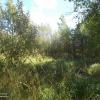 Продажа участка Янино-1 пос., Янино-1 пос., д. 444