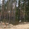 Продажа участка Пески
