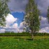 Продажа участка деревня Удальцово, Удальцово