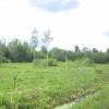Продажа участка поселок Тайцы, , поселок Тайцы