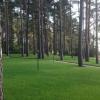 Продажа участка КП Золотые пески, участок № 224