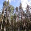 Продажа участка КП Охтинский Парк