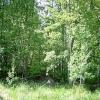 Продажа участка Выборг