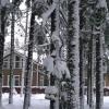 Аренда дома Ильичево