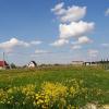 Продажа участка Монделево