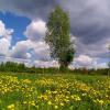 Продажа участка Никольское, Никольское