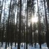 Продажа участка Солнечное, Вокзальная улица