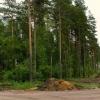 Продажа участка Приветнинское