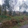 Продажа участка Новое Токсово