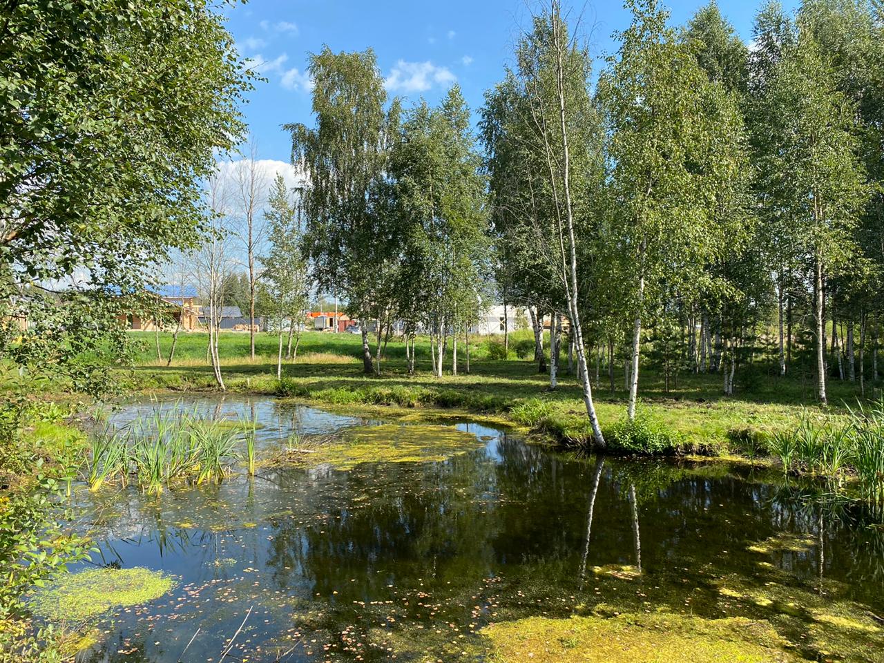 Александрийский парк Агалатово