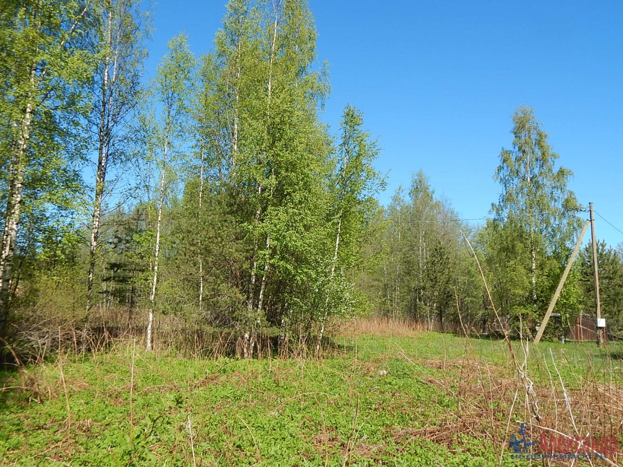 Купить Участок В Снт Боровое Приозерский Район